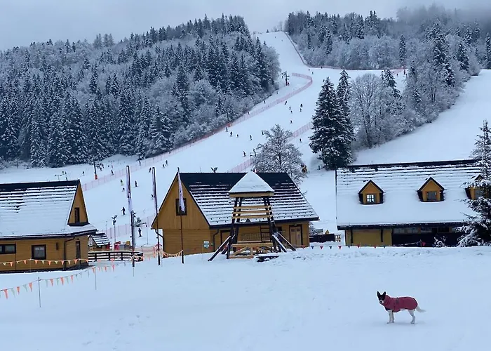 Ulla Pod Chopkom -tále Apartman Sebesér